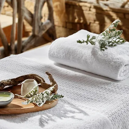 Hotel Sofitel Golfe D'ajaccio Thalassa Sea &